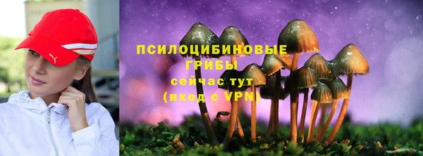МДПВ Касимов